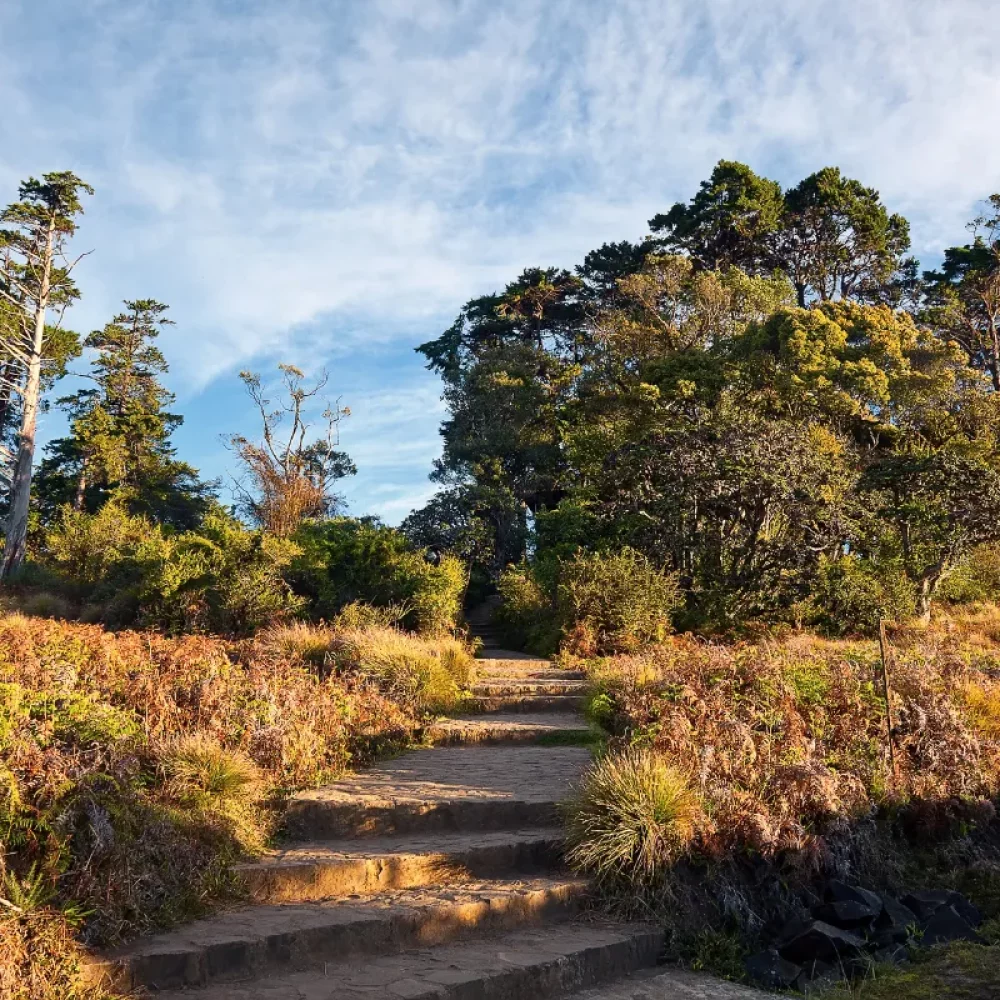 Horton Plains in Sri Lanka (2)